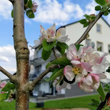 Kleine Auszeit Apartment