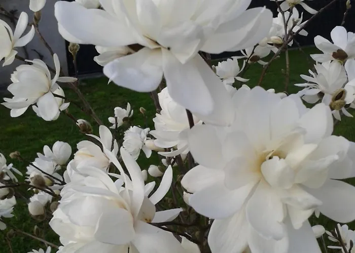 Kleine Auszeit Διαμέρισμα