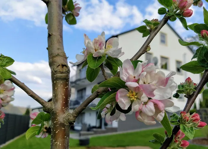 Kleine Auszeit Apartamento