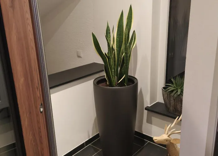 Apartamento Kleine Auszeit